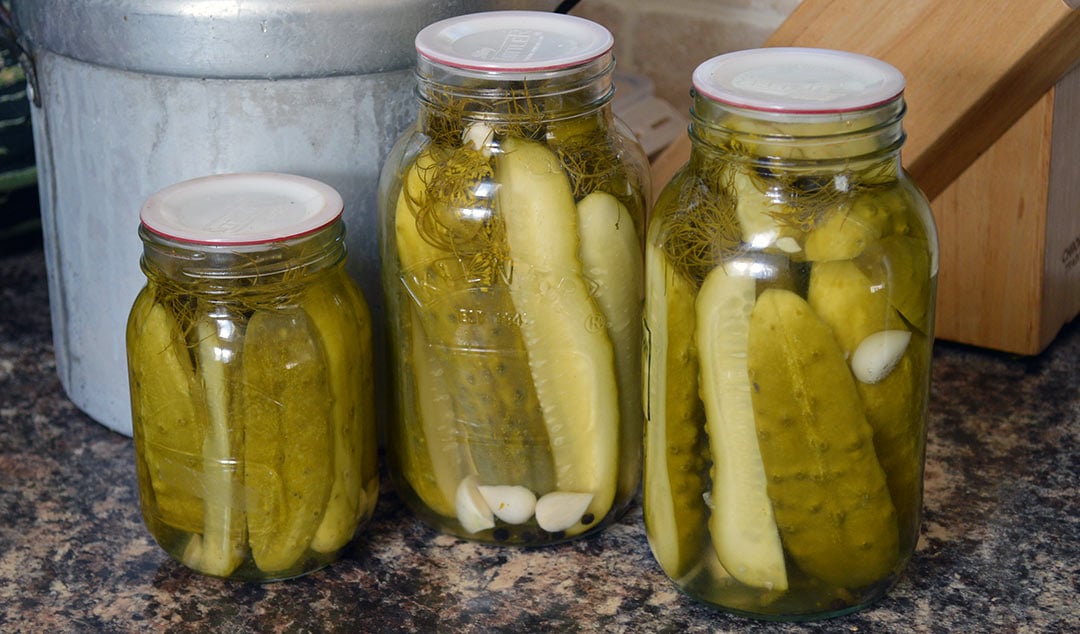 Grandma's Secret Dill Pickle Recipe: A Detroit Comedy Film Review